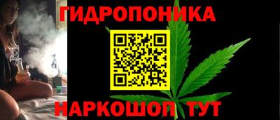 сатива Новодвинск