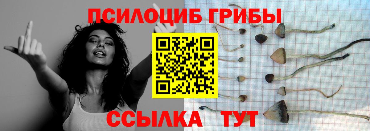 Псилоцибиновые грибы GOLDEN TEACHER  Галлюциногенные грибы ЛСД  Тайшет  Вход с VPN 